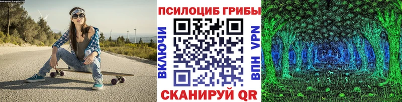 Псилоцибиновые грибы Psilocybine cubensis Нариманов